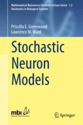 book Stochastic Neuron Models