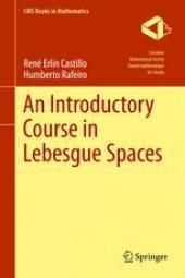 book An Introductory Course in Lebesgue Spaces