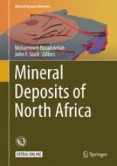 book Mineral Deposits of North Africa