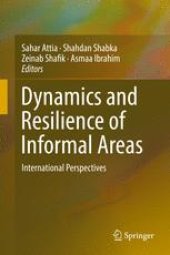 book Dynamics and Resilience of Informal Areas: International Perspectives