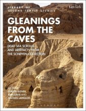 book Gleanings from the Caves: Dead Sea Scrolls and Artefacts from the Schøyen Collection