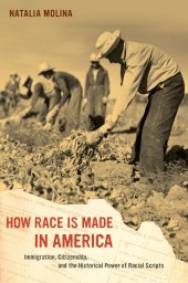 book How race is made in America : immigration, citizenship, and the historical power of racial scripts