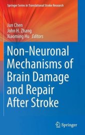 book Non-Neuronal Mechanisms of Brain Damage and Repair After Stroke