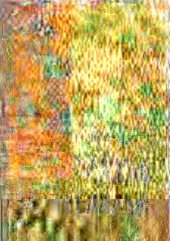 book Уход за пчелами