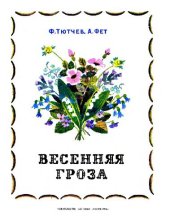 book Весенняя гроза