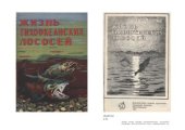 book Жизнь тихоокеанских лососей
