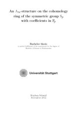 book An Ainfinity-structure on the cohomology ring of the symmetric group Sp with coefficients in Fp [thesis]