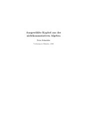 book Ausgewählte Kapitel aus der nichtkommutativen Algebra [Lecture notes]