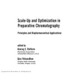 book Scale-Up and Optimization in Preparative Chromatography Principles and Biopharmaceutical Applications