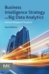 book Business Intelligence Strategy and Big Data Analytics. A General Management Perspective