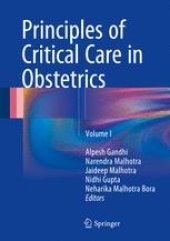 book Principles of Critical Care in Obstetrics: Volume I