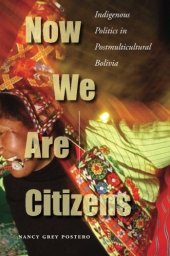 book Now We Are Citizens: Indigenous Politics in Postmulticultural Bolivia