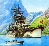 book Крейсерские операции германского флота (часть II)