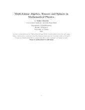 book Multi-Linear Algebra, Tensors and Spinors in Mathematical Physics [Lecture notes]