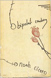 book Bipolar Cowboy