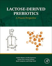 book Lactose-derived prebiotics: a process perspective