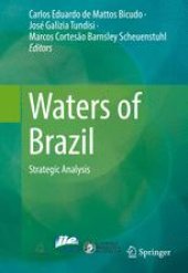 book Waters of Brazil: Strategic Analysis 