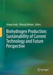 book Biohydrogen Production: Sustainability of Current Technology and Future Perspective