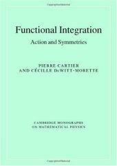 book Functional integration: action and symmetries