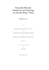 book Factorable Monoids: Resolutions and Homology via Discrete Morse Theory [PhD thesis]