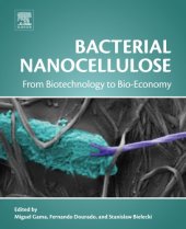 book Bacterial nanocellulose: from biotechnology to bio-economy