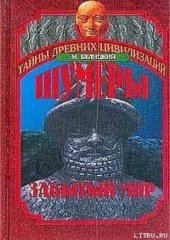 book Шумеры. Забытый мир