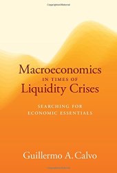 book Macroeconomics in Times of Liquidity Crises: Searching for Economic Essentials