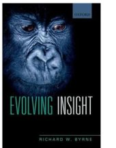 book Evolving Insight: How it is we can think about why things happen