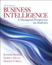 book Business Intelligence: A Managerial Perspective on Analytics