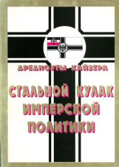 book Дредноуты кайзера. Стальной кулак имперской политики