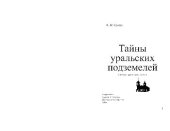 book Тайны уральских подзмелий (легенды, реальность, поиск)