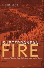 book Subterranean Fire: A History of Working-Class Radicalism in the United States