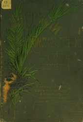 book Биографии композиторов с IV-XX век с портретами