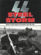 book Steel Storm: Waffen-SS Panzer Battles on the Eastern Front, 1943-1945