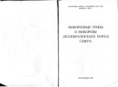 book Микоризные грибы и микоризы лесообразующих пород севера