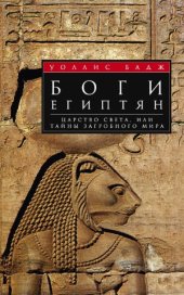 book Боги египтян. Царство света, или Тайны загробного мира