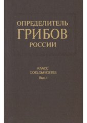 book Определитель грибов России. Класс Coelomycetes редкие и малоизвестные роды