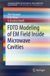 book FDTD Modeling of EM Field inside Microwave Cavities