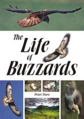 book The life of buzzards