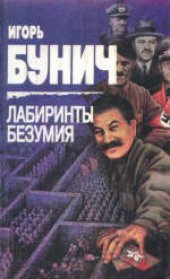 book Лабиринты безумия