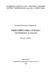 book Гидродинамика взрыва: эксперимент и модели