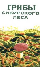 book Грибы сибирского леса