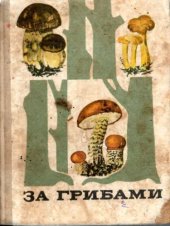 book За грибами