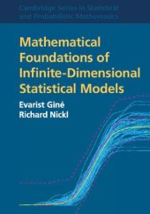 book Mathematical Foundations of Infinite-Dimensional Statistical Models