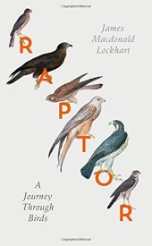 book Raptor: A Journey Through Birds