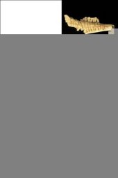 book Materia Magica: The Archaeology of Magic in Roman Egypt, Cyprus, and Spain