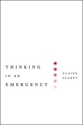 book Thinking in an Emergency