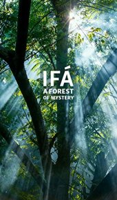 book Ifá: A Forest of Mystery