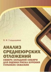 book Анализ среднеюрских отложений севера Западной Сибири для оценки риска бурения глубоких скважин