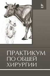 book Практикум по общей хирургии